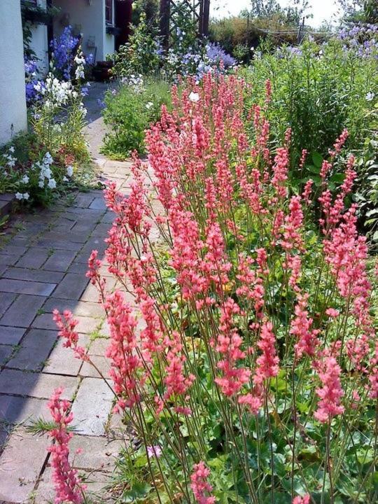 Jen'S B&B Ljungbyhed Eksteriør bilde